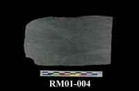 藏品(板岩)的圖片